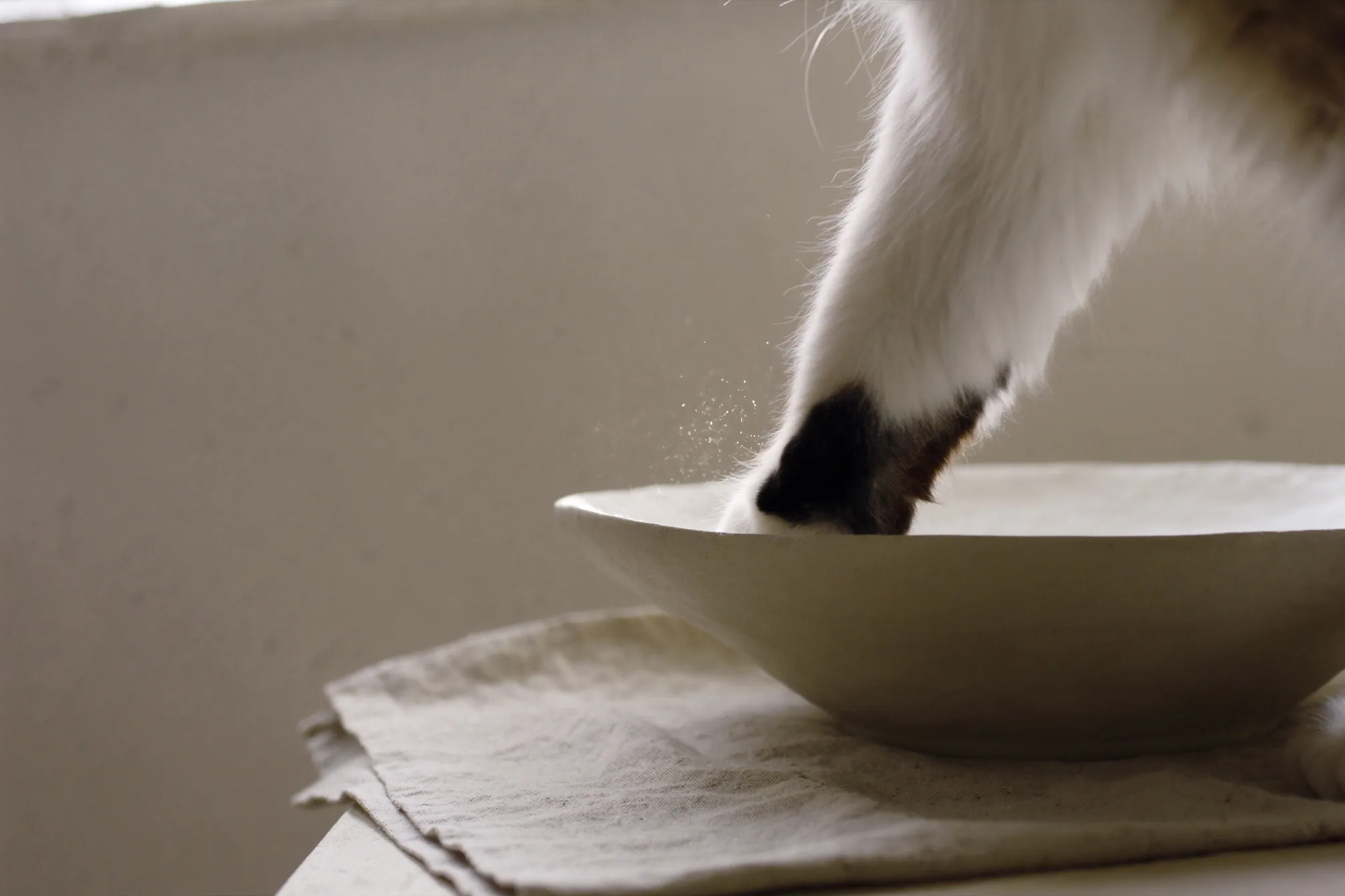 A white and black cat leaning into a shallow ceramic bowl set on a linen cloth beside a pale wall.