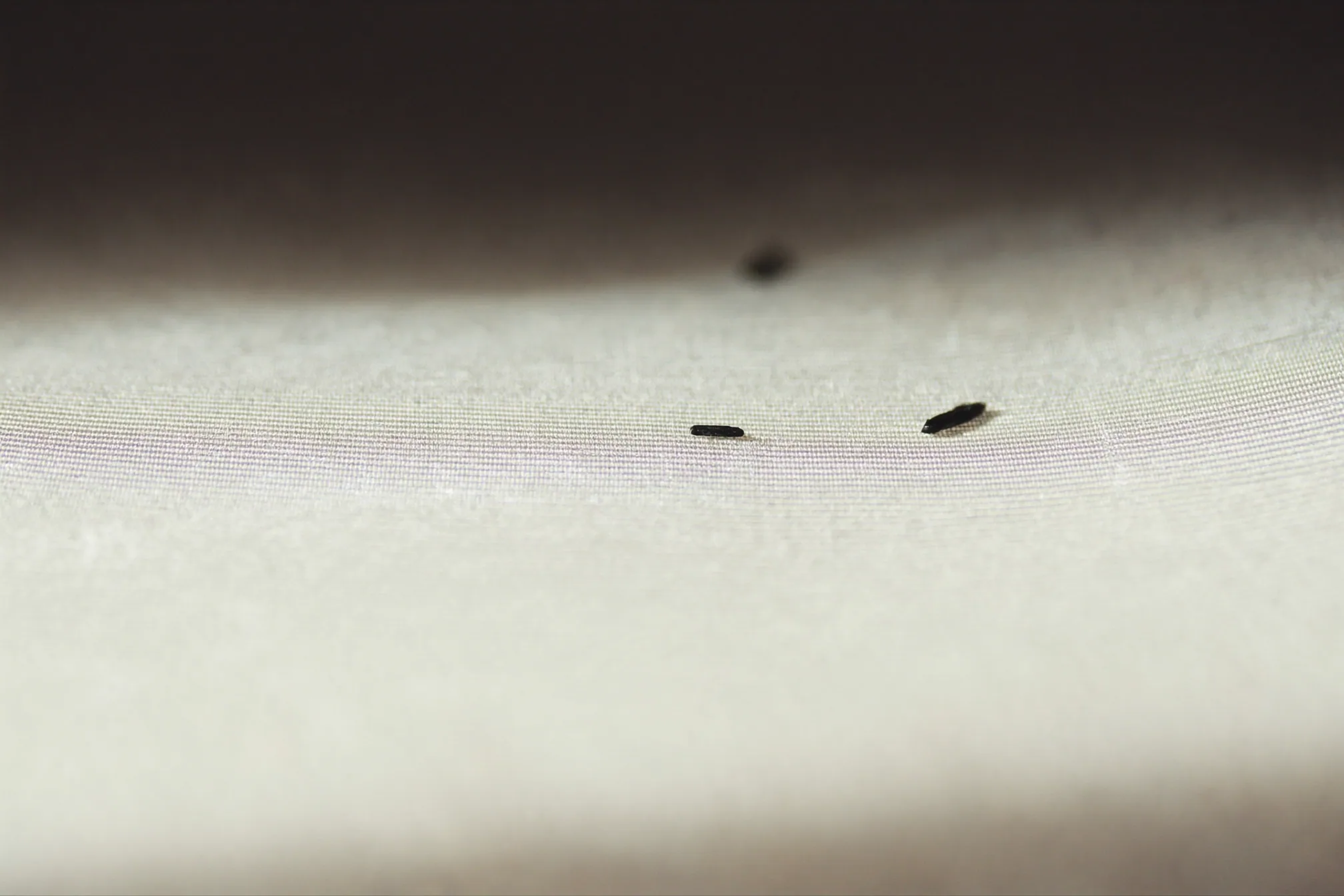 Two small black pins on stretched pale fabric, the weave sharp in a narrow band and soft elsewhere.